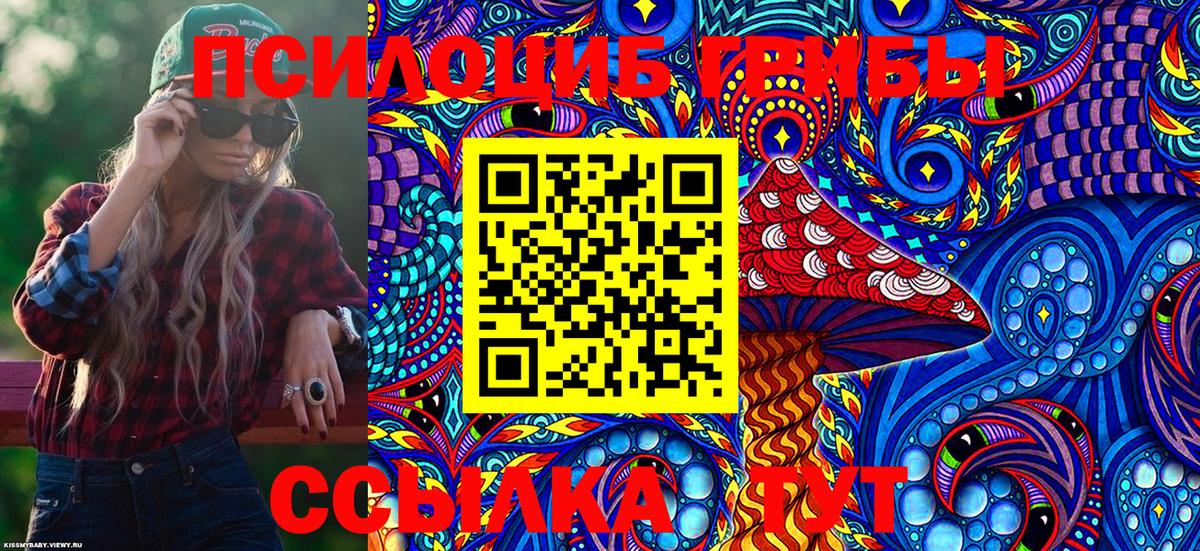 Крымск  Галлюциногенные грибы Psilocybine cubensis  Вход с VPN 